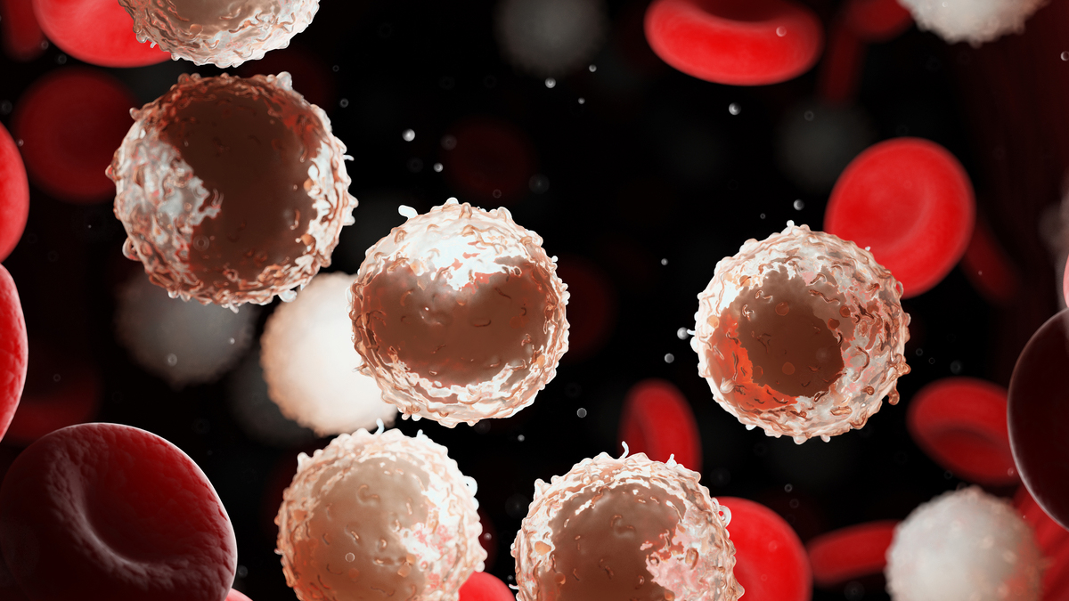 Logo der CME Fortbildung "Empfehlungen zur Therapie der CLL 2019"