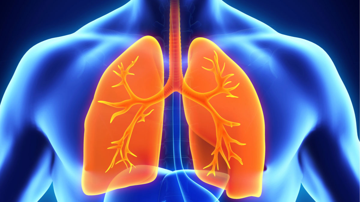 Logo der CME Fortbildung "Diagnose und Therapie von Alpha-1-Antitrypsin-Mangel"