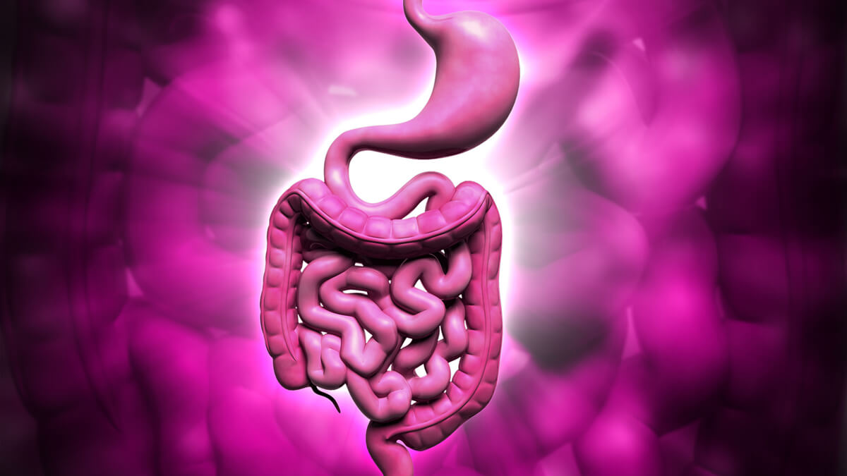 Logo der CME Fortbildung "Notfallkoffer Palliativmedizin (Teil 3) - Gastrointestinale Symptome"