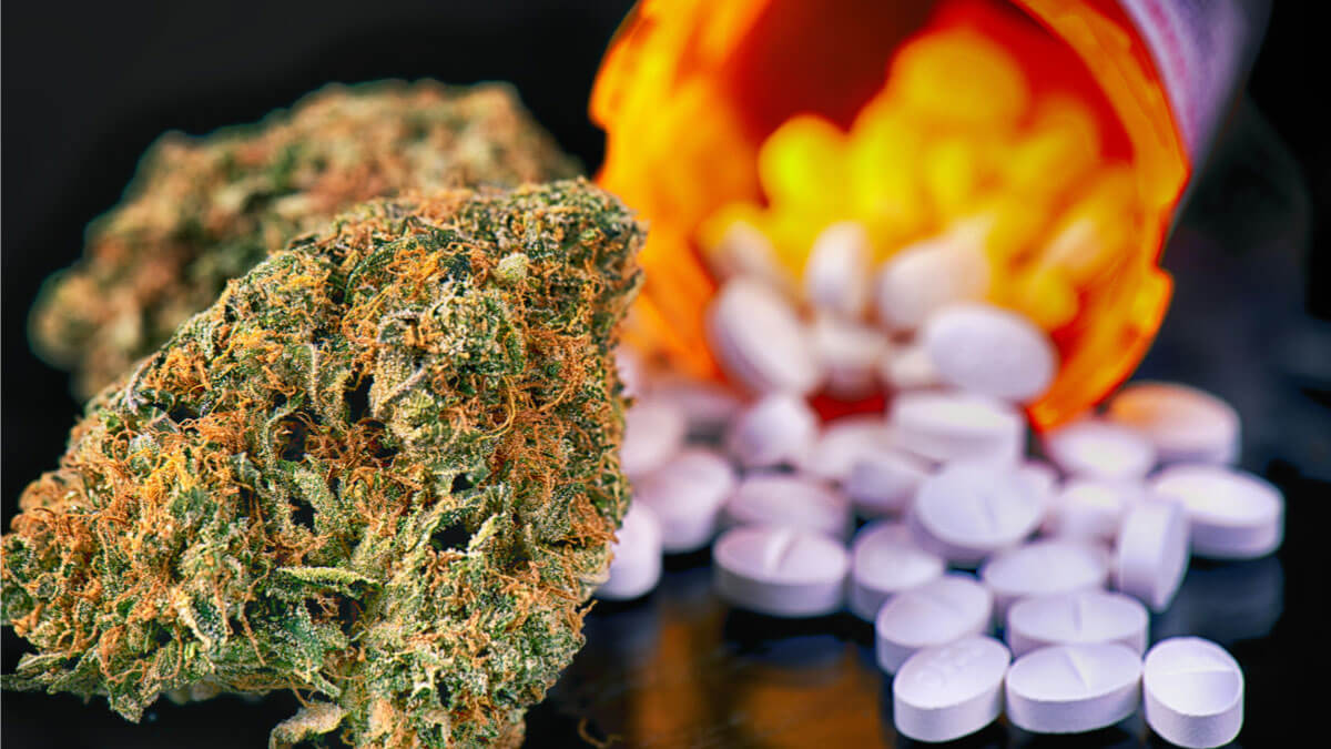 Logo der CME Fortbildung "Cannabis – Gibt es gute Gründe für die Verordnung von Medizinalhanf?"