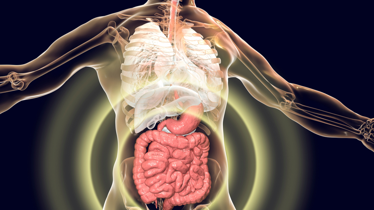 Logo der CME Fortbildung "Aktuelles aus der Gastroenterologie"