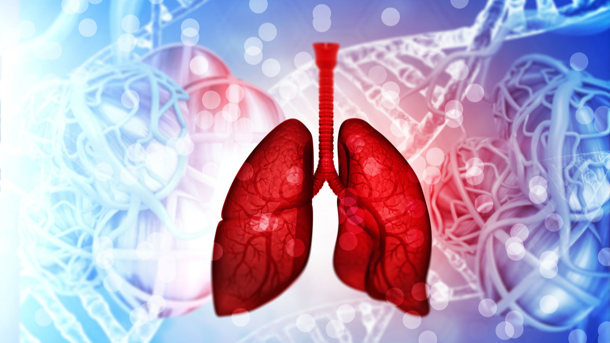 Logo der CME Fortbildung "Behandlungsrealität und neue Entwicklungen bei Patienten mit KRAS-mutiertem NSCLC"