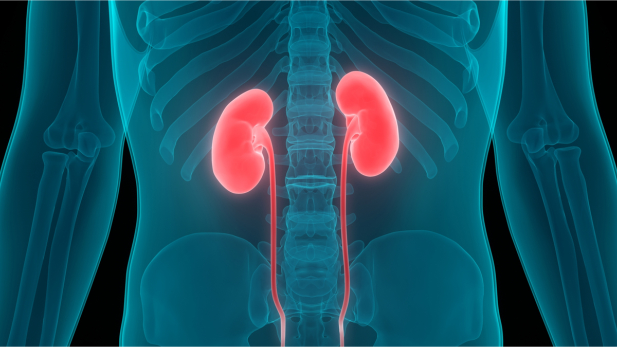 Logo der CME Fortbildung "Knochenstoffwechsel bei sekundärem Hyperparathyreoidismus (sHPT)"