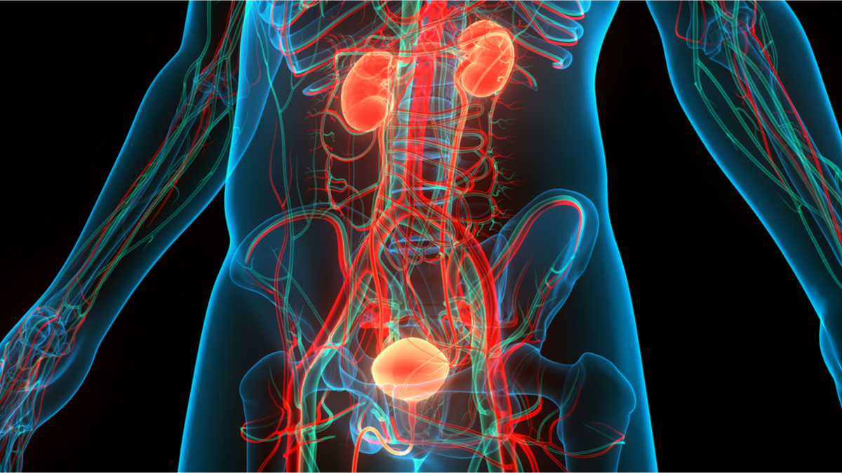 Logo der CME Fortbildung "Checkpoint-Inhibitoren in der Uroonkologie 2021"