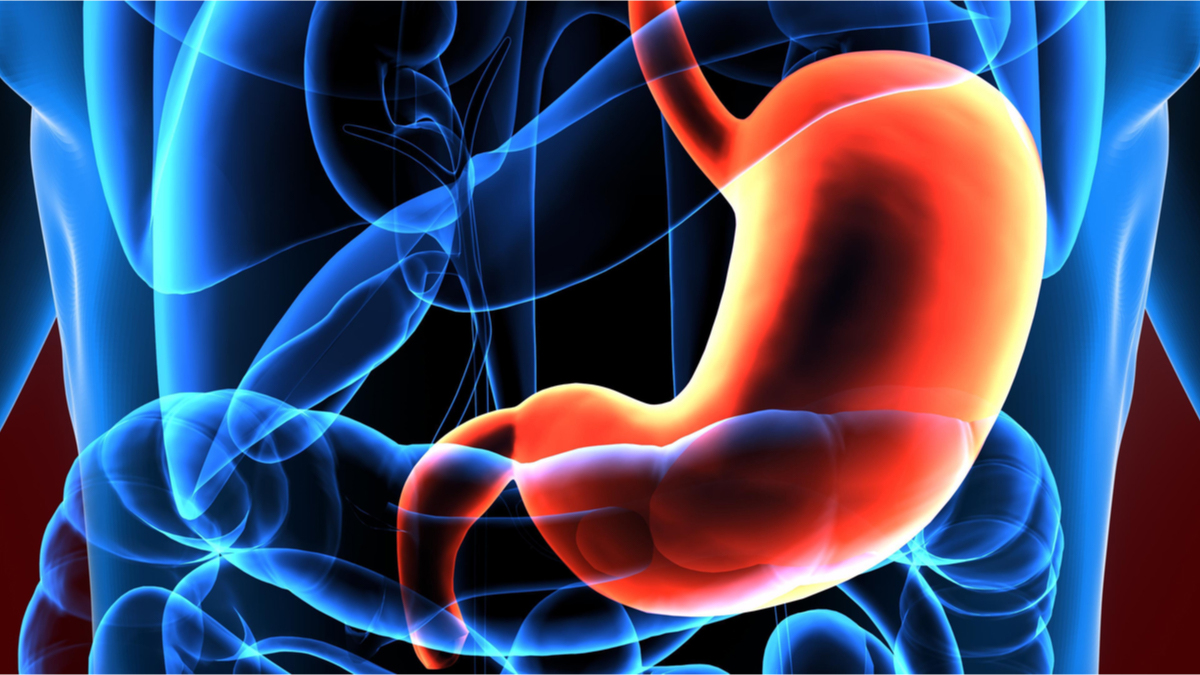 Logo der CME Fortbildung "Gastrektomie, Oesophagektomie und Exokrine Pankreasinsuffizienz - Was ist zu beachten?"