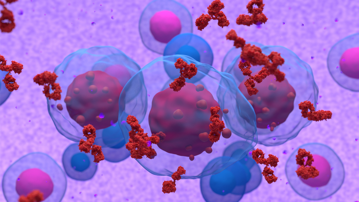 Logo der CME Fortbildung "Multiples Myelom - Therapieoptionen im Rezidiv für Immunmodulator vortherapierte/refraktäre Patienten "