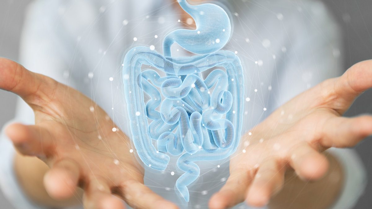 Logo der CME Fortbildung "Differentialdiagnose CED - Schub oder Infektion?"