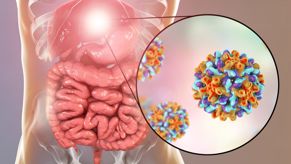Logo der CME Fortbildung "Hepatitis B: Immunologie, Serologie und Auffrischung"