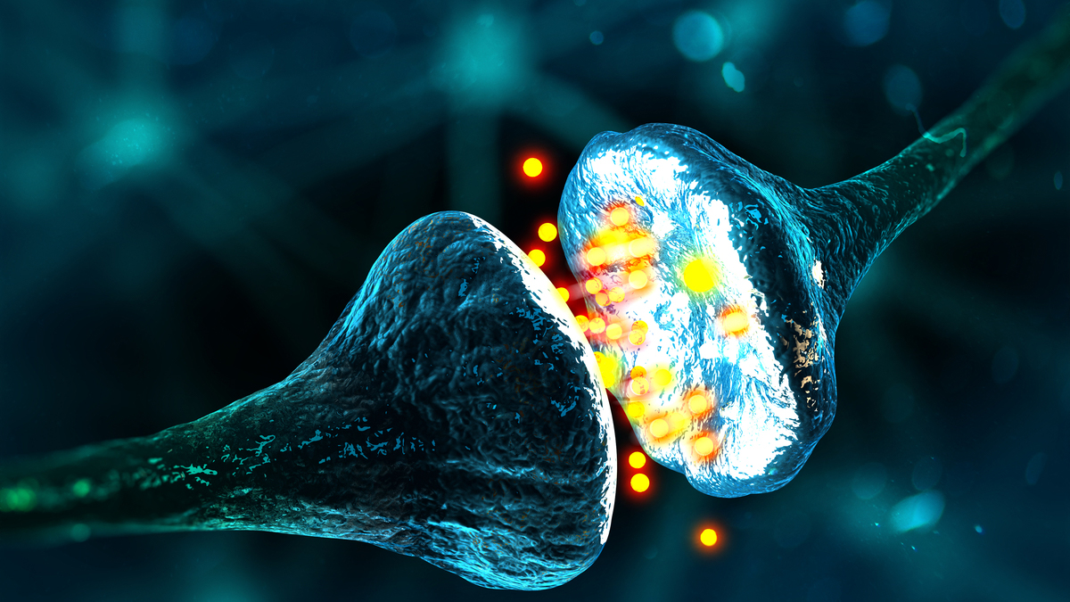 Logo der CME Fortbildung "Refraktäre generalisierte Myasthenia gravis: Diagnostik und Therapie"