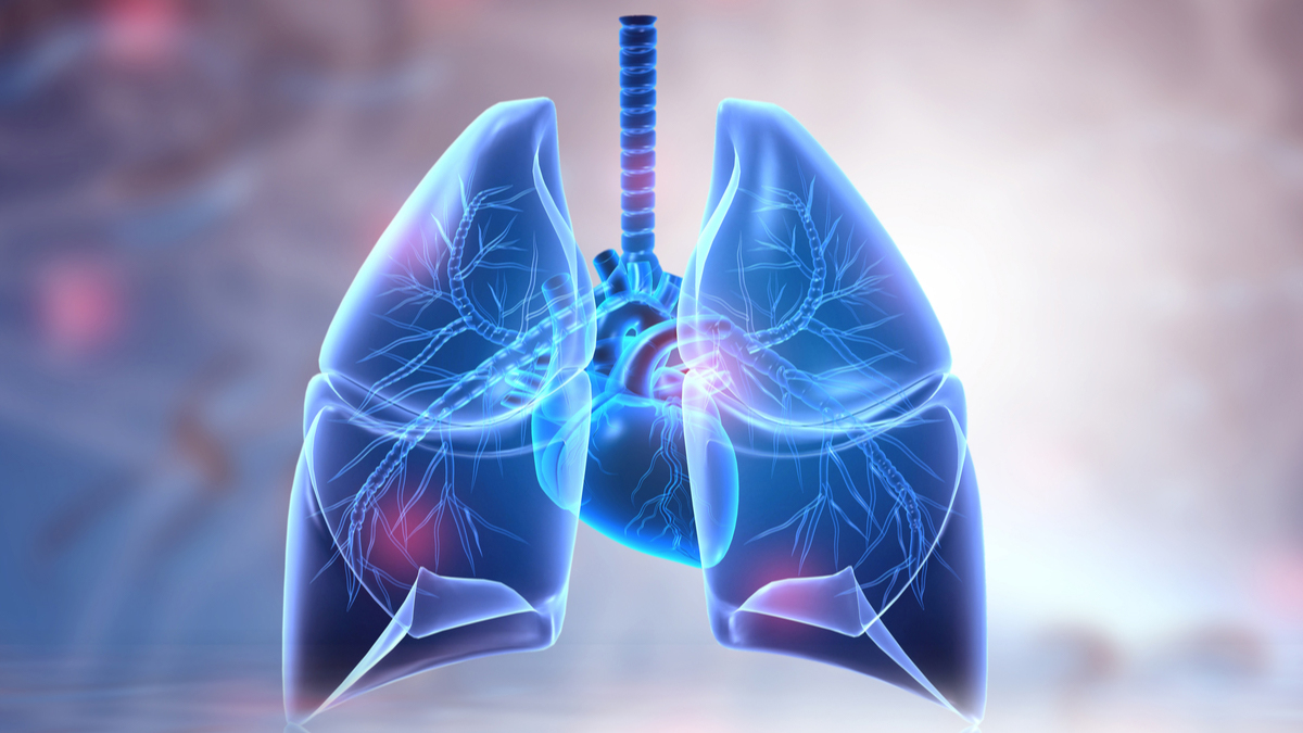Logo der CME Fortbildung "Von Drehtür, Herzinfarkt & Co. – Der präventive Gedanke bei COPD"