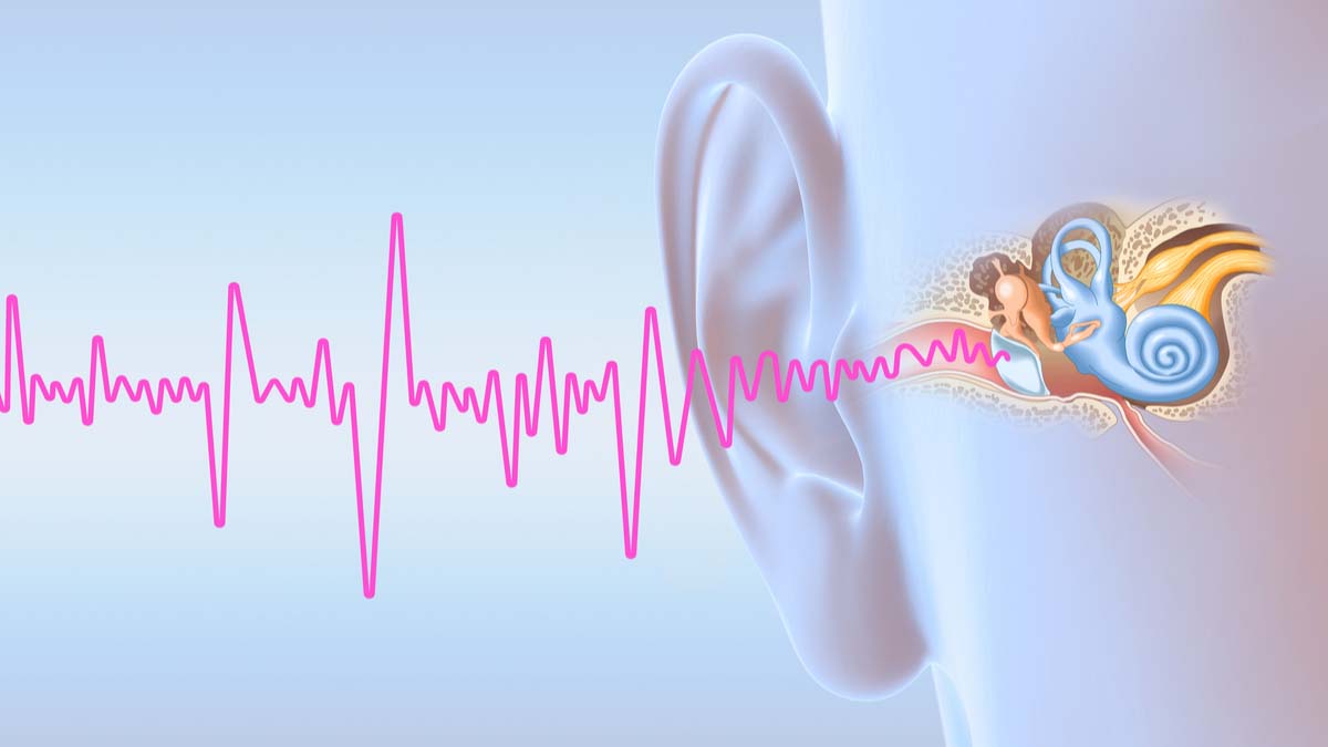 Logo der CME Fortbildung "Tinnitus – Diagnostik und Therapie nach der neuen S3-Leitlinie 2021"