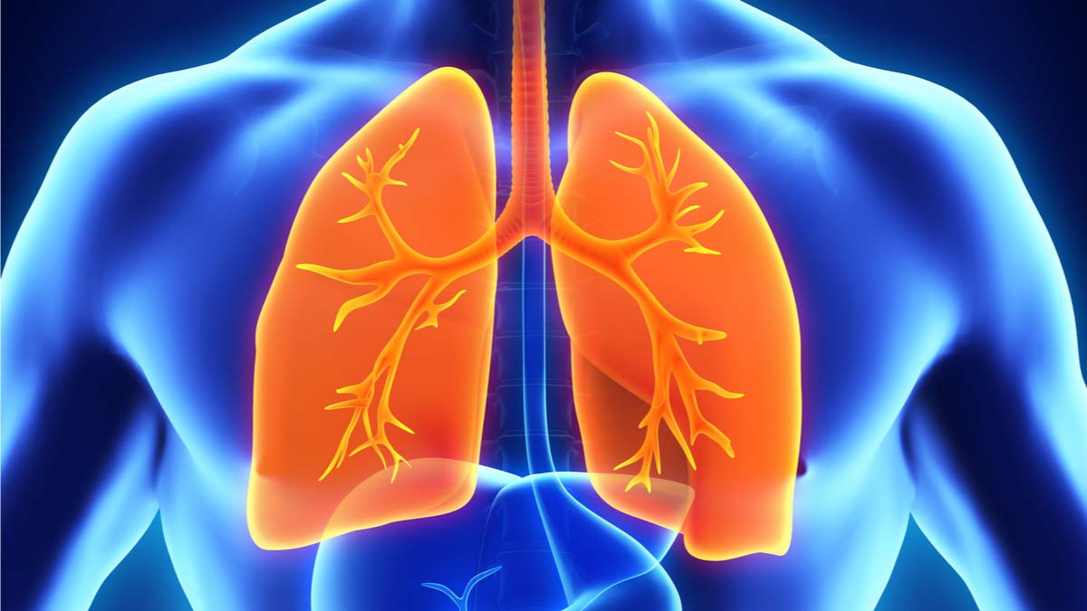 Logo der CME Fortbildung "Seltene Lungenerkrankungen - häufiger als man denkt? ALPHA-1-ANTITRYPSIN-MANGEL (AATM)"
