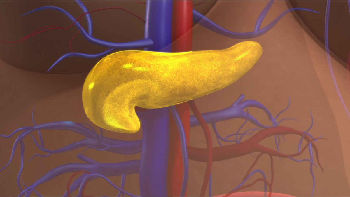 Logo der CME Fortbildung "Exokrine Pankreasinsuffizienz (EPI) bei Diabetes – eine unterschätzte Koexistenz?"