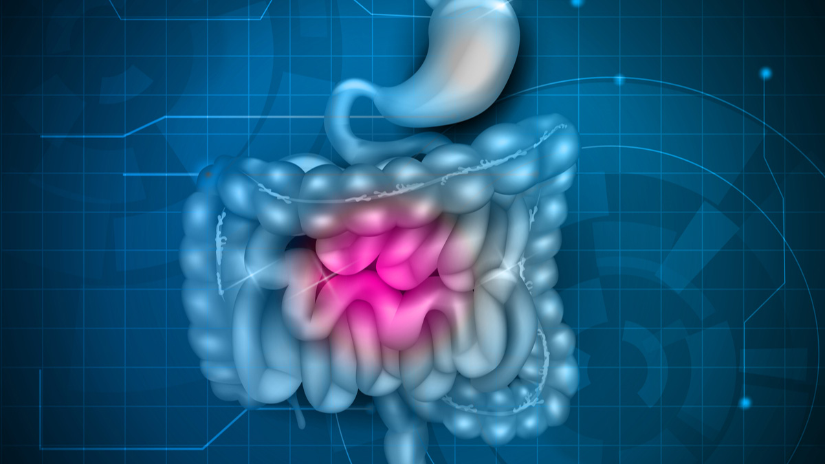 Logo der CME Fortbildung "Stellenwert der JAK-Inhibitoren in der Gastroenterologie"