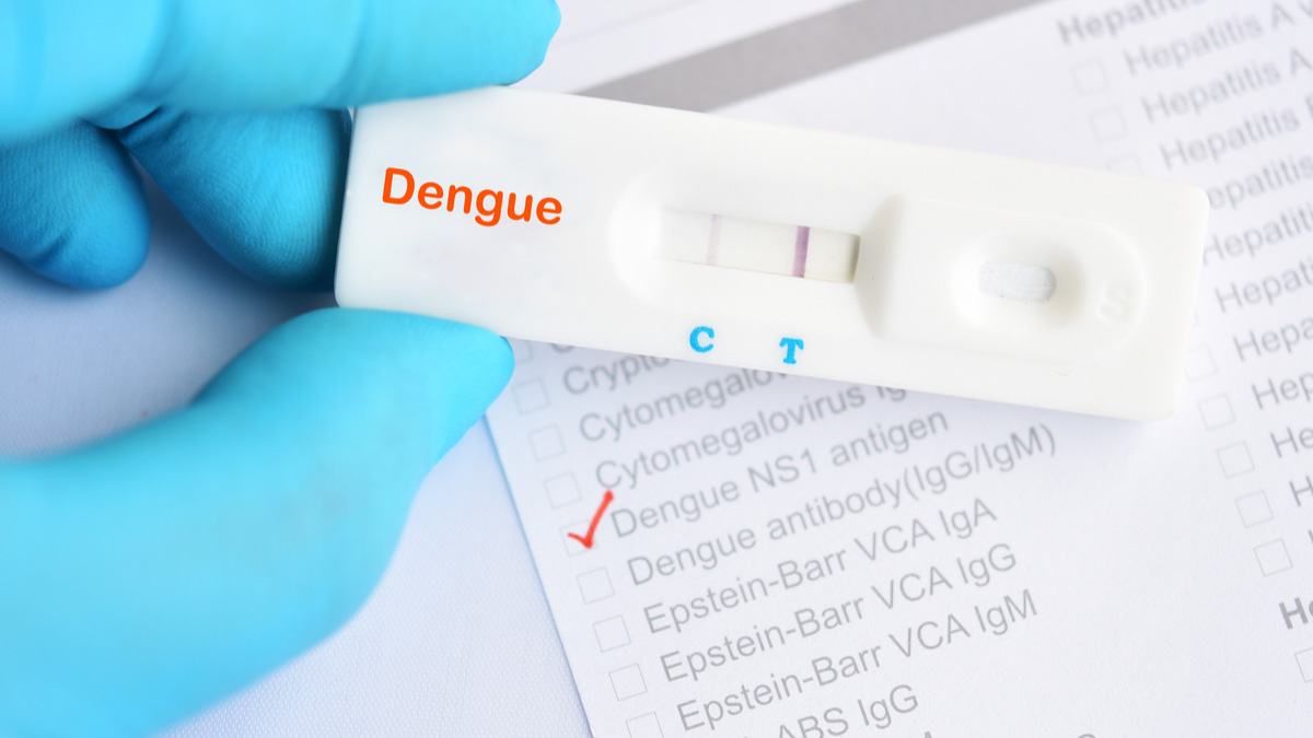 Teaserbild zum CME: Dengue-Fieber: Verbreitung, Diagnose und Management