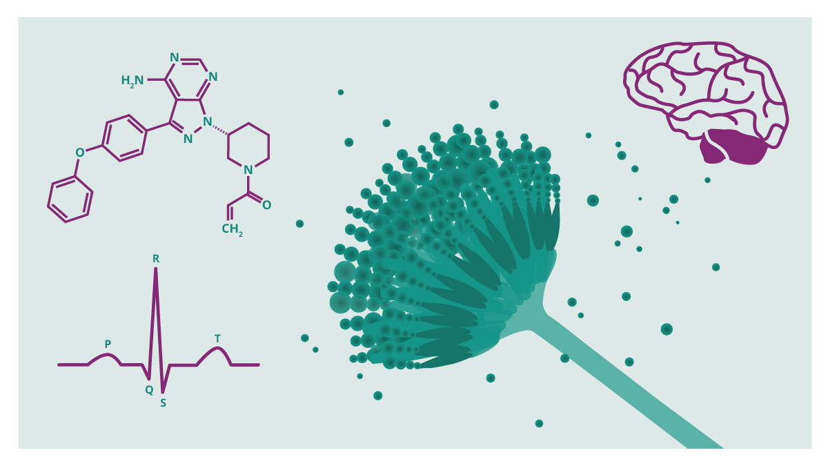 Teaserbild zum CME: Opportunistische Schimmelpilzinfektionen vor dem Hintergrund neuer hämato-onkologischer Therapien