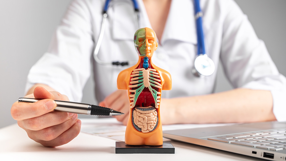 Logo der CME Fortbildung "Chronisch-entzündliche Darmerkrankungen (CED) aus allgemeinärztlicher Sicht"