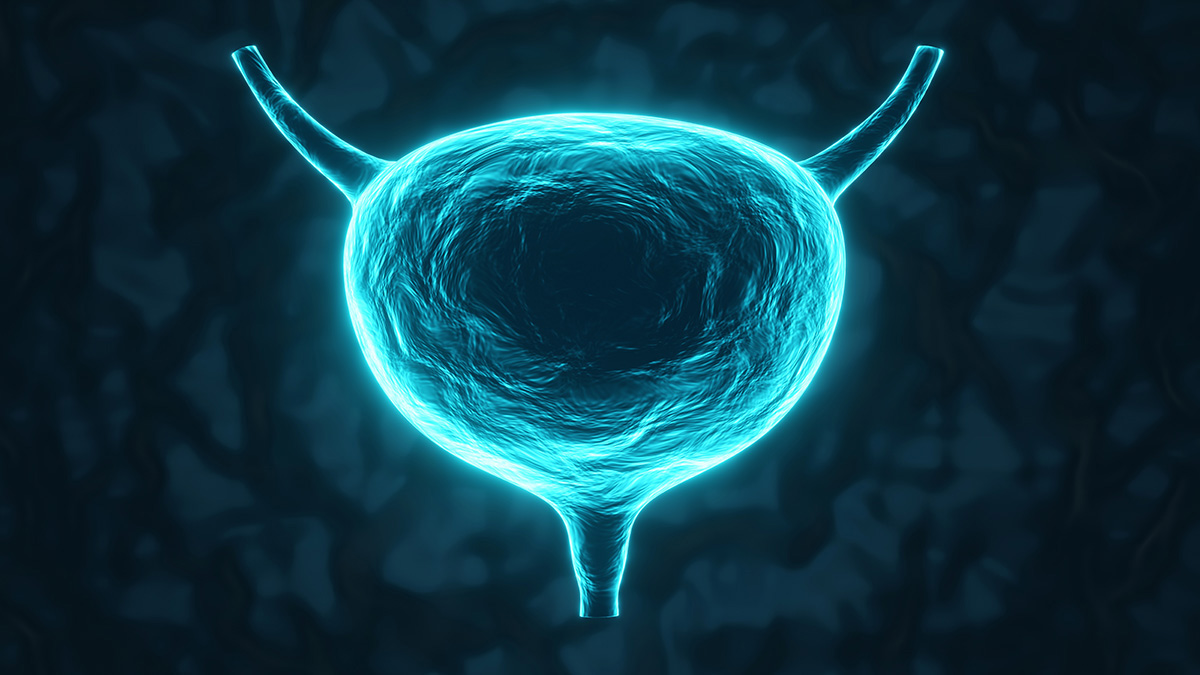 Logo der CME Fortbildung "Nicht-muskelinvasives Blasenkarzinom - Neue Therapieansätze 2025"