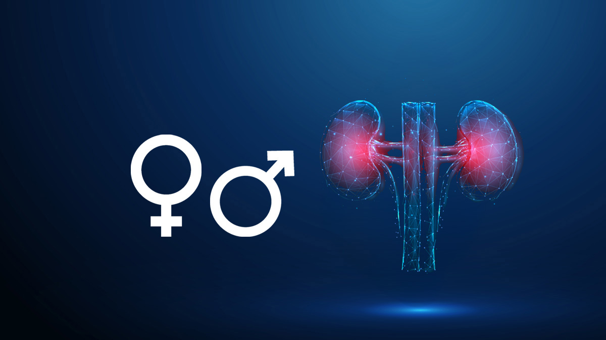 Teaserbild zum CME: Geschlechtsspezifische Medizin in der Nephrologie