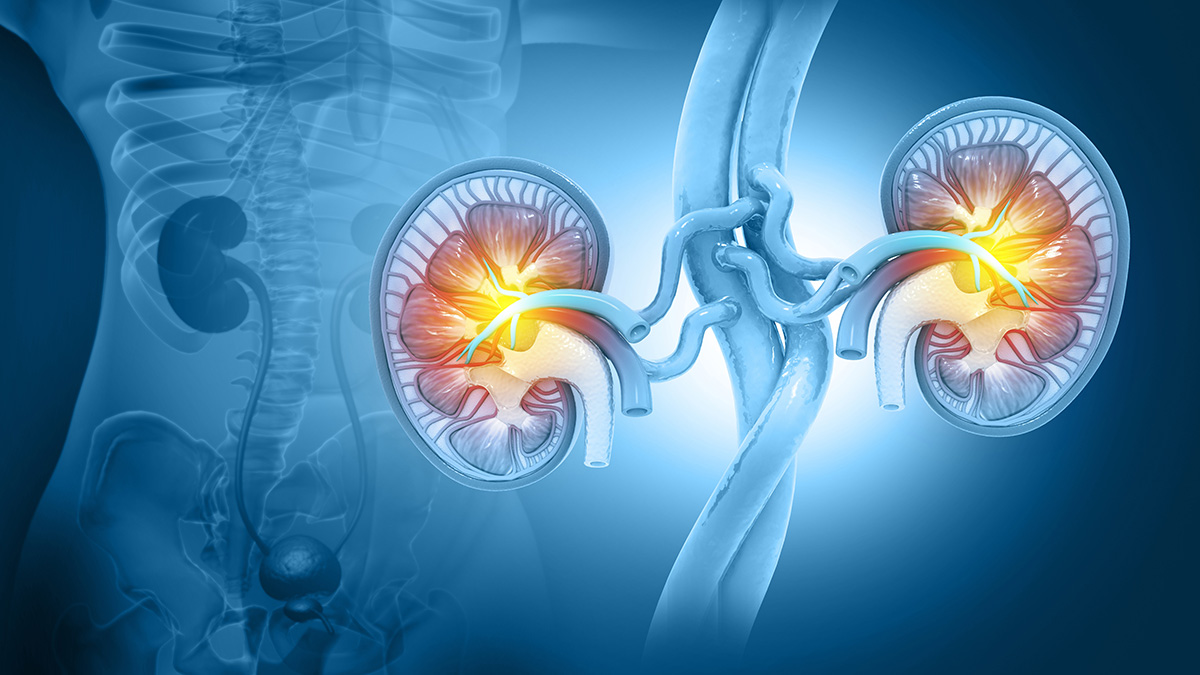 Logo der CME Fortbildung "Therapielandschaft beim Nierenzellkarzinom: Von der Adjuvanz bis zum palliativen Setting"