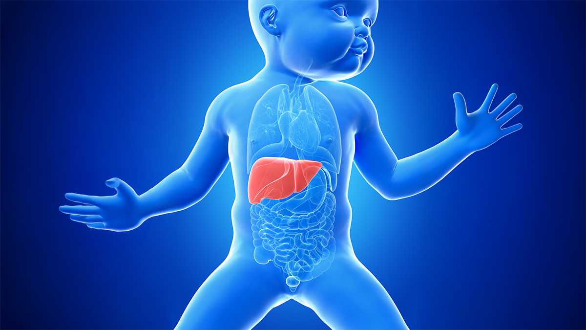 Logo der CME Fortbildung "Seltene cholestatische Lebererkrankungen im Neugeborenen- und Kleinkindalter – Früh erkennen, gezielt handeln"