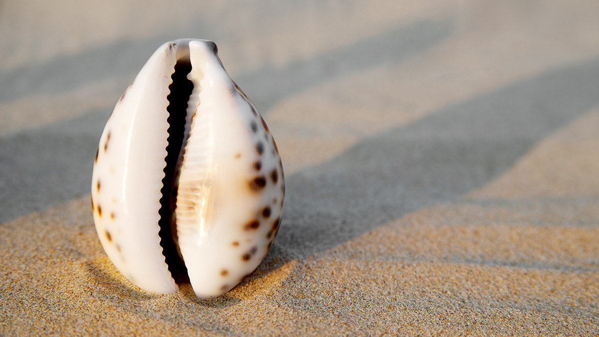 Logo der CME Fortbildung "Vaginalsekret - Gesundes Mikrobiom sorgt für Balance"
