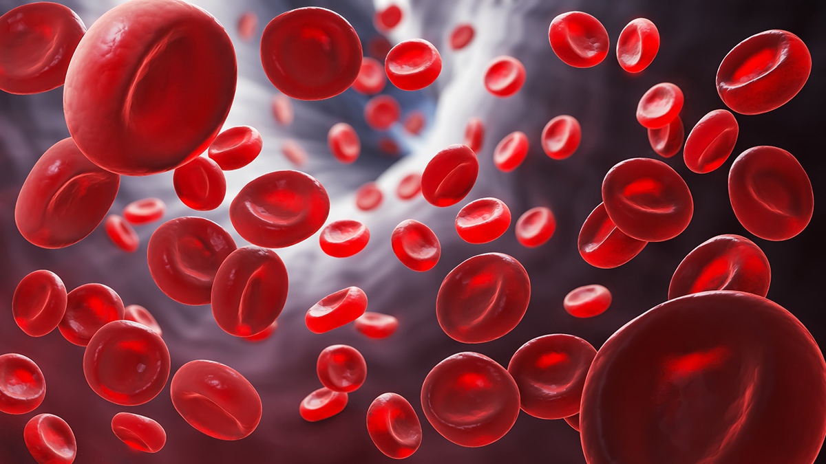 Logo der CME Fortbildung "Paroxysmale nächtliche Hämoglobinurie (PNH) - neue Therapien, neue Chancen, neue Herausforderungen"