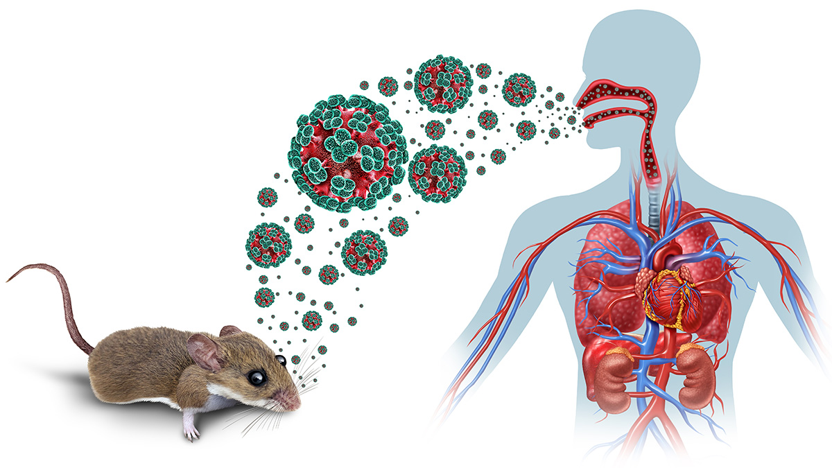Logo der CME Fortbildung "Hantavirus kompakt - Bestens gewappnet für den nächsten Fall"