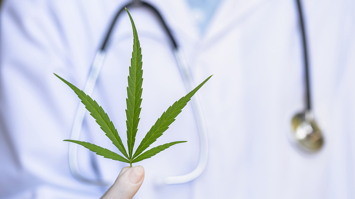 Teaserbild zum CME: Medizinisches Cannabis im Überblick - Grundlagen, aktuelle Daten und Leitlinien-Empfehlungen