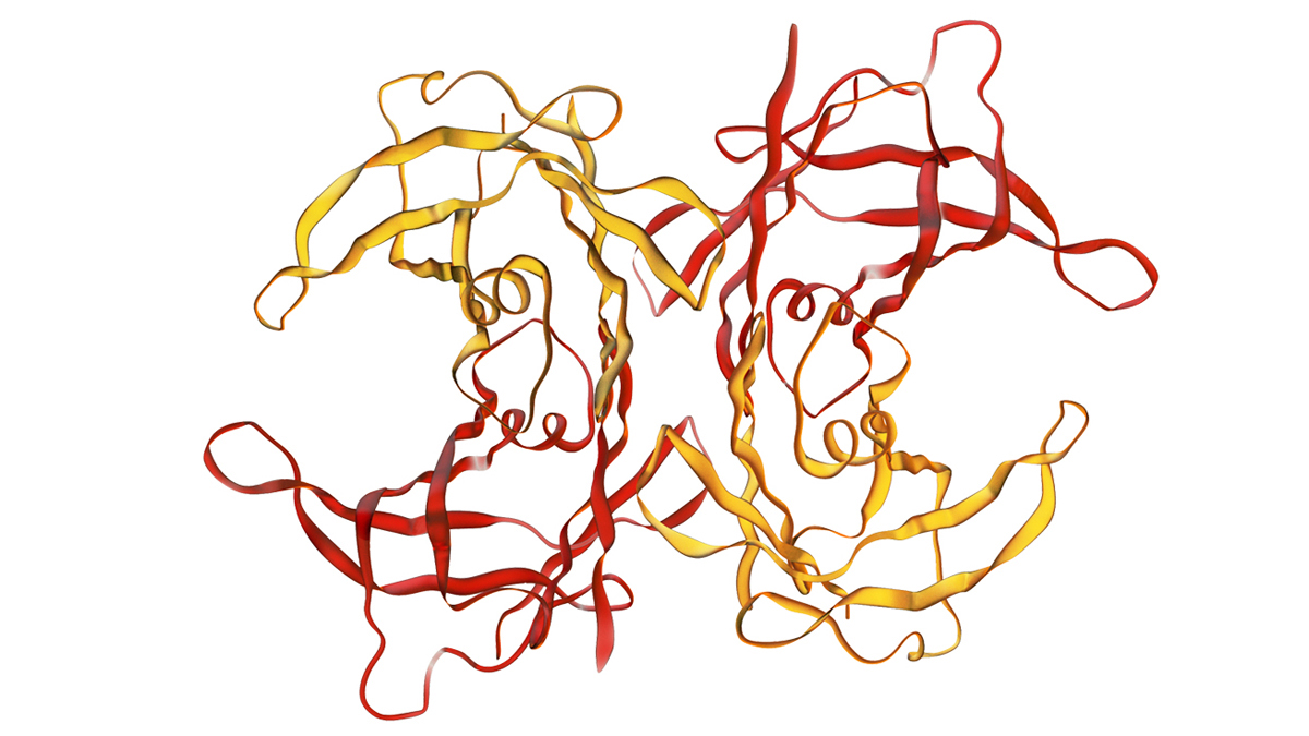 Logo der CME Fortbildung "Transthyretin-Amyloidosen: Diagnostik und Manifestationen"