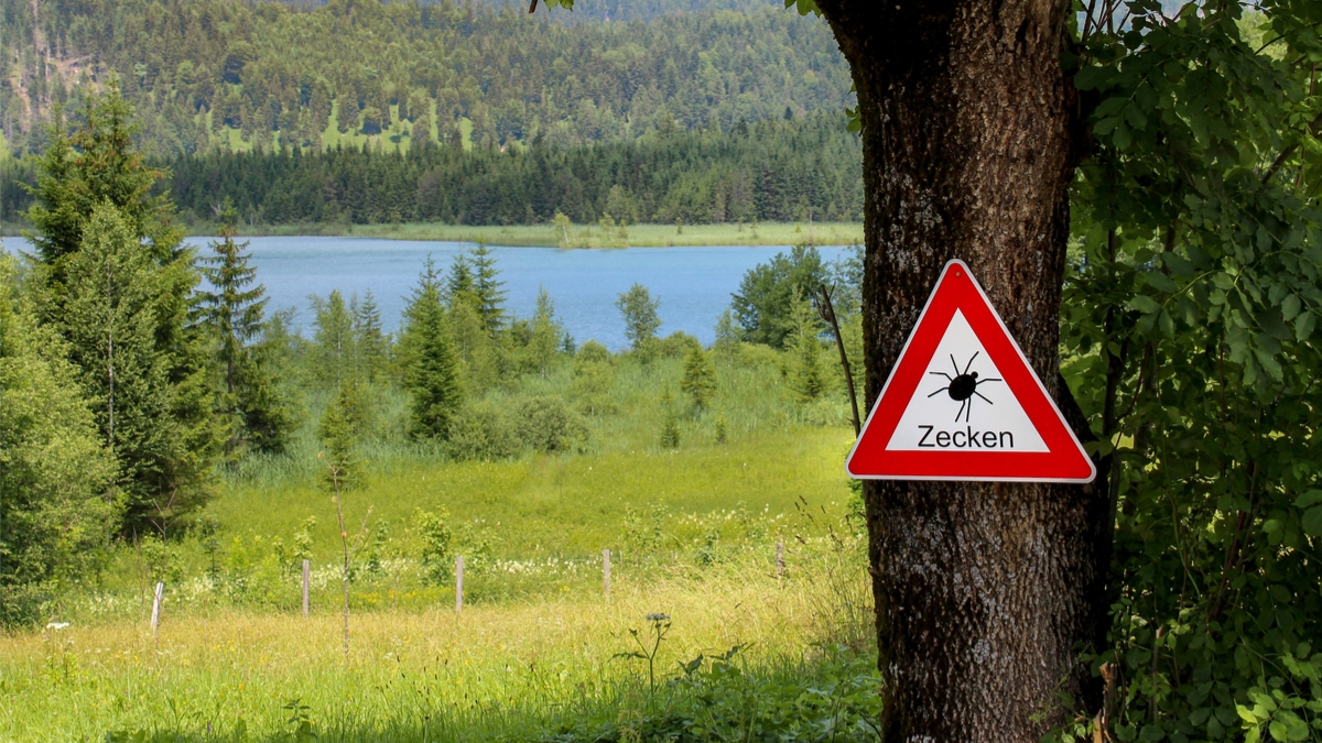Logo der CME Fortbildung "Angriff aus dem Unterholz: Borreliose & FSME in Wald und Wiese"