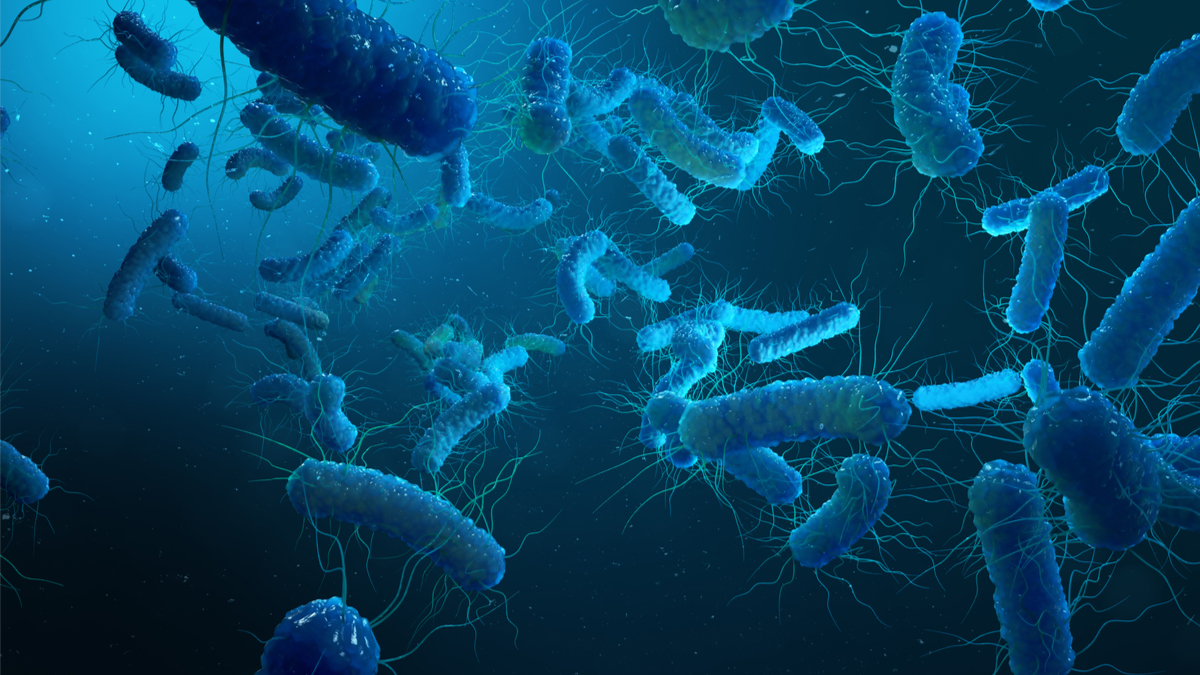 Logo der CME Fortbildung "Infektionen mit multiresistenten gramnegativen Erregern – eine zunehmende Herausforderung"