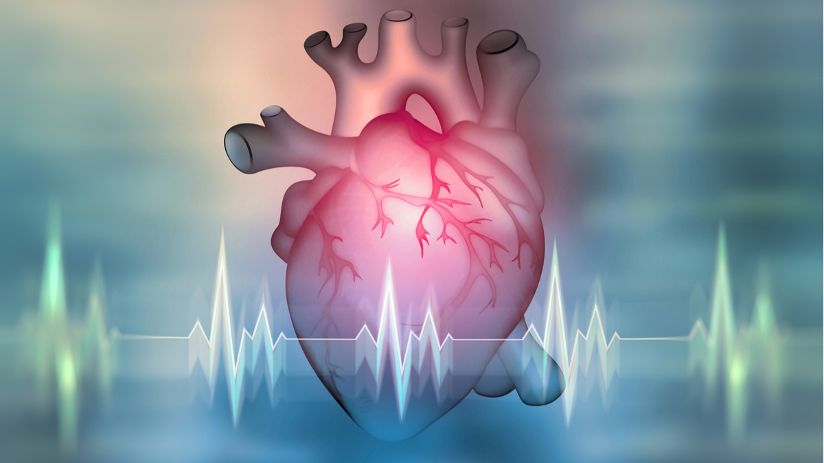 Logo der CME Fortbildung "Vorhofflimmern Update 2018 - Antikoagulation, Rhythmus- und Frequenzkontrolle – was, wann, für wen?"