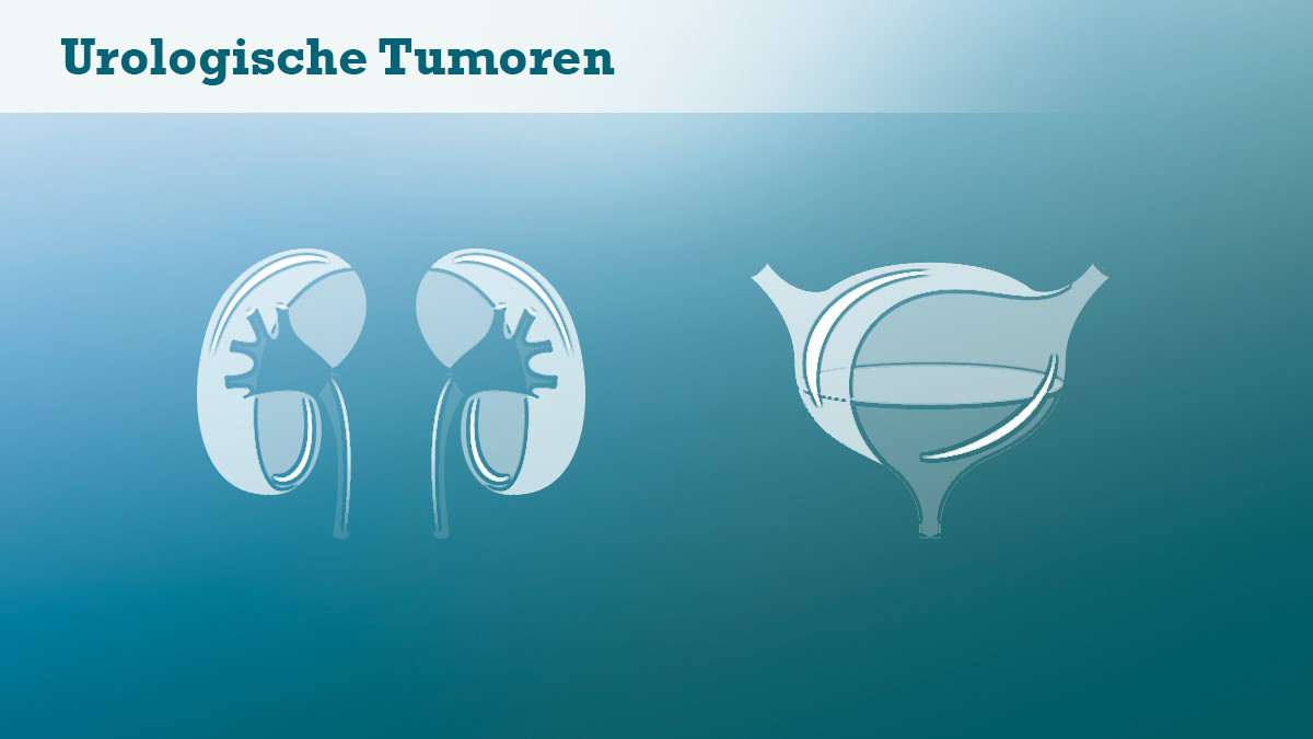 Logo der CME Fortbildung "Immunonkologische Langzeitdaten in der Urologie"