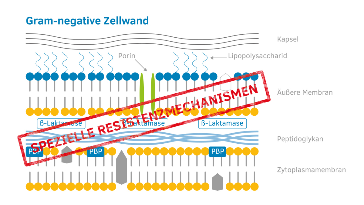 Logo der CME Fortbildung "Bakterielle Resistenzmechanismen - Spezielle Formen der Resistenz"