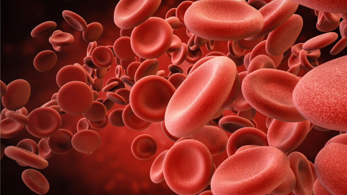 Logo der CME Fortbildung "Myeloproliferative Neoplasien - Patientenbedürfnisse im Fokus"