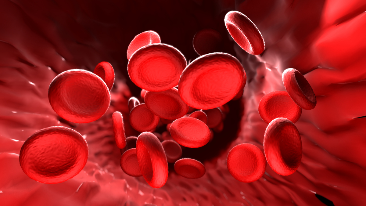 Logo der CME Fortbildung "Polycythaemia vera und Myelofibrose - aktuelle Behandlungsempfehlungen und Therapieziele"