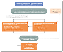 Factsheet