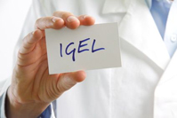 Igel
